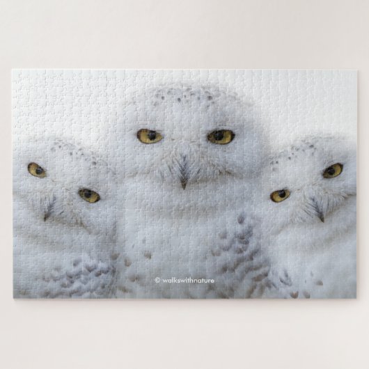 Dreamy Wisdom of Snowy Owls Puzzle (Horizontal)