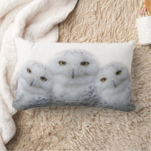Dreamy Wisdom Snowy Owls Familie