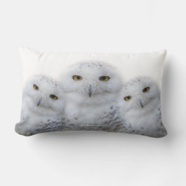 Dreamy Wisdom Snowy Owls Familie Lendenkissen