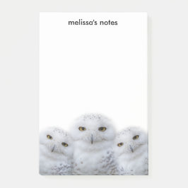 Dreamy Wisdom Snowy Owls Familie Post-it Klebezettel