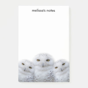 Dreamy Wisdom Snowy Owls Familie Post-it Klebezettel