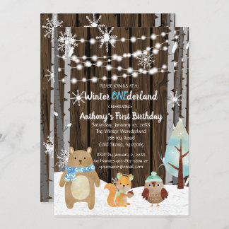 Dreamy Woodland Forest Animals ONEderland Birthday Einladung