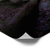Dreamy Woodland mit Rock Trail Poster (Ecke)