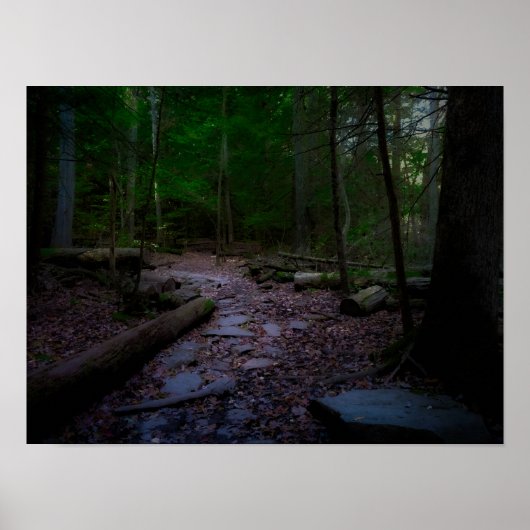 Dreamy Woodland mit Rock Trail Poster (Vorne)