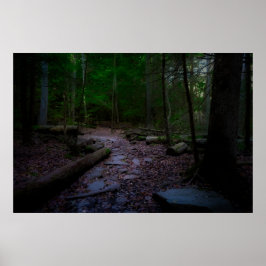 Dreamy Woodland mit Rock Trail Poster