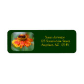 Dreamy Zinnia Blume Address Label (Vorne)