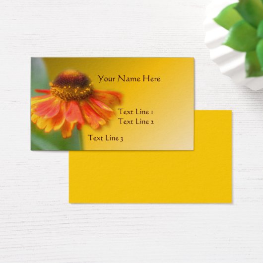 Dreamy Zinnia Blume Nature (Schreibtisch)