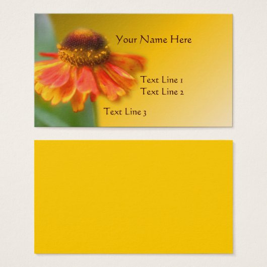 Dreamy Zinnia Blume Nature (Vorne & Hinten)