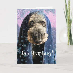 Dreary Christmas Bah Humbug Schnauzer Karte