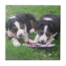 Dreh Flop Fun! Fliese