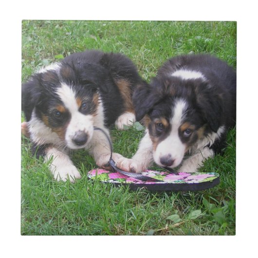 Dreh Flop Fun! Fliese (Vorderseite)