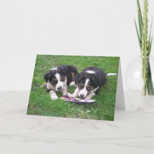 Dreh Flop Fun! Karte (Vorderseite)