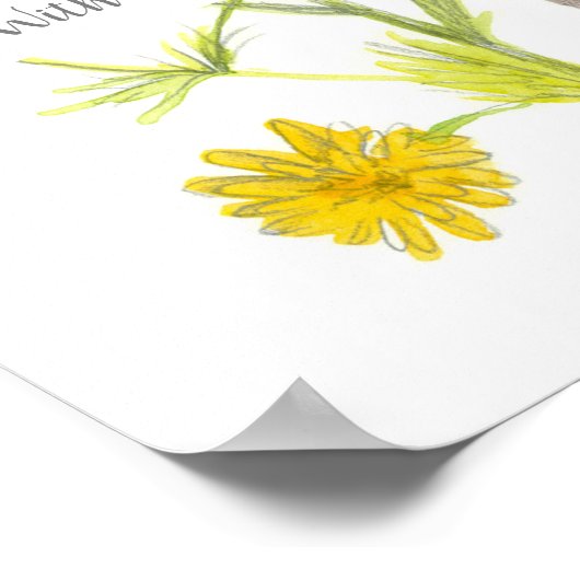 Drehbuch Matthew 19:26 Bibelverse Chamomile Poster (Ecke)