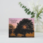 Drehbuch mit Sonnenuntergang Feiertagspostkarte (Stehend Vorderseite)