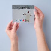 drehend fabelhafte echte Anwesen Agent Pinguin pos Flyer (Gruppe)