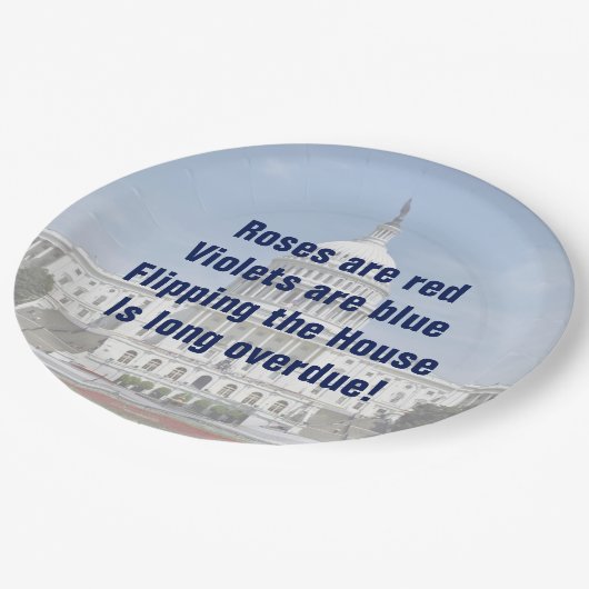 Drehend Repräsentantenhaus Pappteller (Schrägansicht)