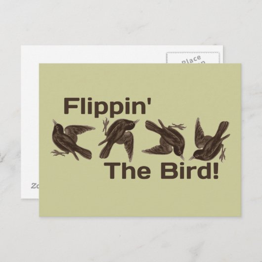 Drehend Vogel Postkarte (Vorne/Hinten)