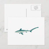 Dreherhai Postkarte (Vorne/Hinten)