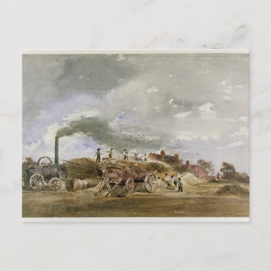 Drehermais (Stift und Gew.- auf Papier) Postkarte (Vorderseite)