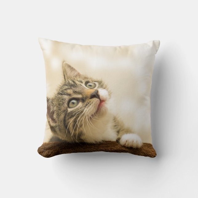 Drehkissen 16 Zoll x 16 Zoll Kissen (Vorderseite)