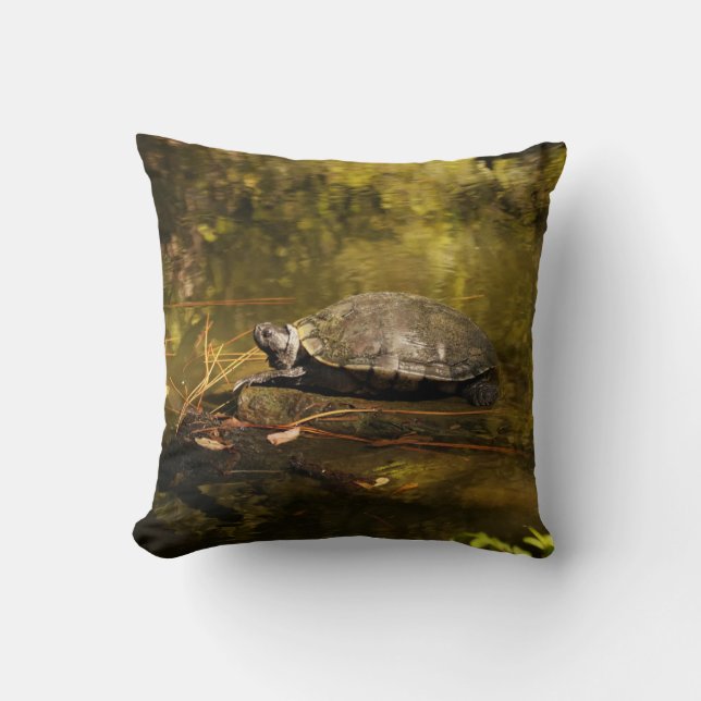 Drehkissen - Schildkröte im Teich Kissen (Vorderseite)