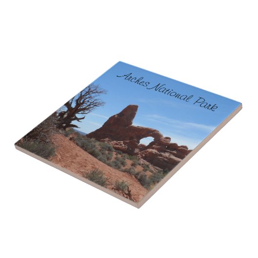 Drehkopf-Bogen wölbt Nationalpark Fliese (Seite)