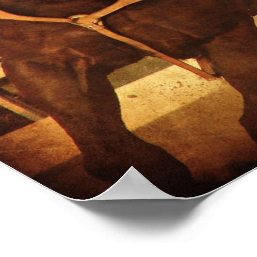 Drehpferd Poster (Ecke)