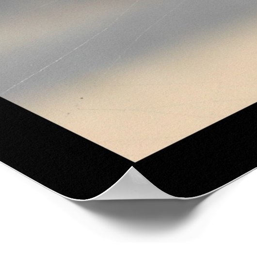 Drehspinne (Argiope Aurantia) Poster (Ecke)