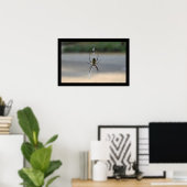 Drehspinne (Argiope Aurantia) Poster (Heimbüro)