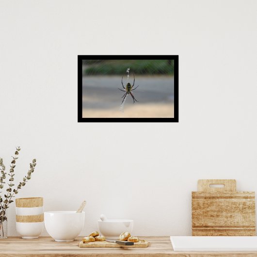 Drehspinne (Argiope Aurantia) Poster (Küche)