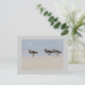 Drehsteine Postkarte (Stehend Vorderseite)
