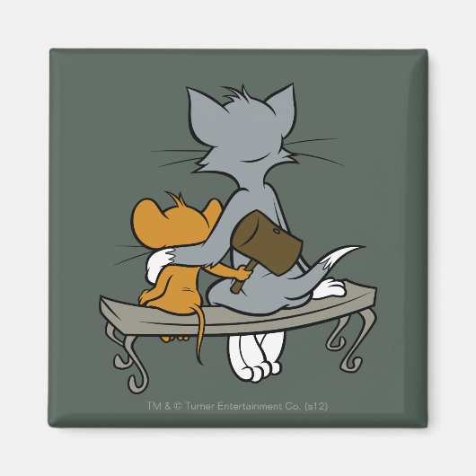 Drehung Magnet (Vorne)