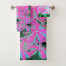 Drehung Phlox (Pink und Weiß)