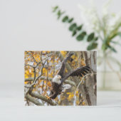 Drehung und Adler Postkarte (Stehend Vorderseite)