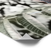 Drei 11” poster (Ecke)