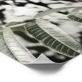 Drei 12 Zoll Poster (Ecke)