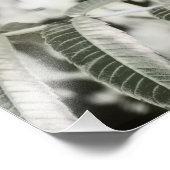 Drei 16" fotodruck (Ecke)