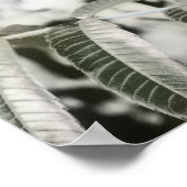 Drei 16" poster (Ecke)
