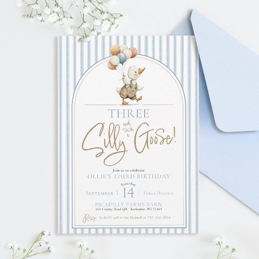 DREI Albern Gänse Niedlich Pinstripe Junge 3. Gebu Einladung