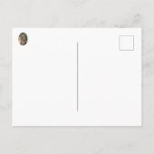 Drei Alert Fox Kits Postkarte (Rückseite)