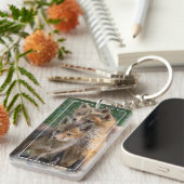 Drei Alert Fox Kits Schlüsselanhänger (Vorderseite rechts)