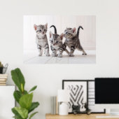 Drei amerikanische Kurzfilme Poster (Heimbüro)