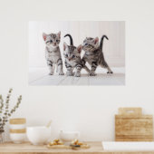 Drei amerikanische Kurzfilme Poster (Küche)