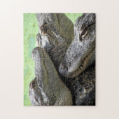 Drei Amigos Alligator Puzzle (Vertikal)