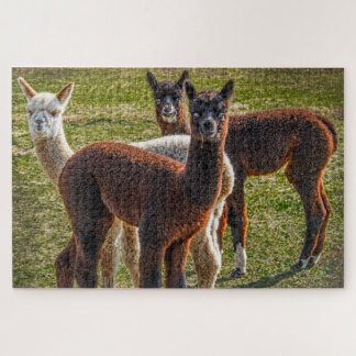 Drei Amigos Alpacas Puzzle