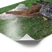 Drei Amigos Fotodruck (Ecke)