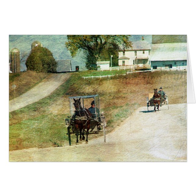 Drei Amish-Buggyen (Vorderseite (Horizontal))