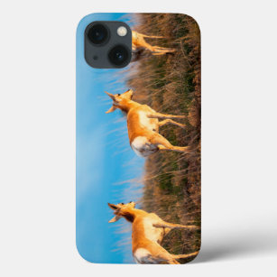 Drei Antilopen, die bei Sonnenuntergang weglaufen iPhone 13 Hülle