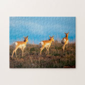 Drei Antilopen, die bei Sonnenuntergang weglaufen Puzzle (Horizontal)