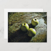 Drei Äpfel Feiertagskarte (Vorne/Hinten)